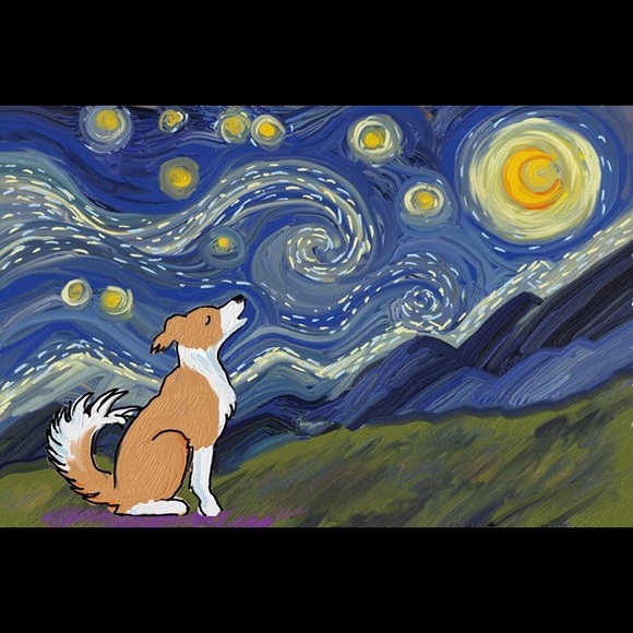 Meet your Posher, Miranda - Picture 1 of 1